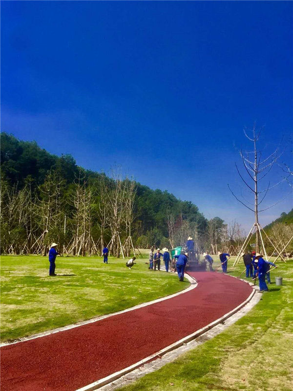 206國道非機(jī)動(dòng)車道彩色瀝青攤鋪施工